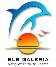 logo-SLB_2023_02.png